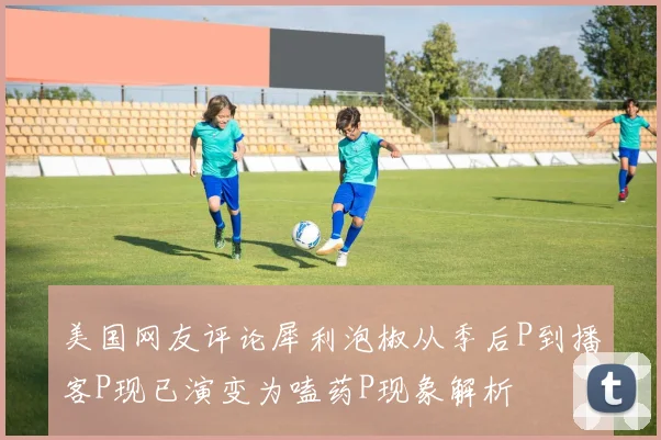 美国网友评论犀利泡椒从季后P到播客P现已演变为嗑药P现象解析